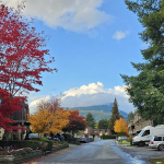 Lynnmour: The Hidden Urban Oasis of North Vancouver